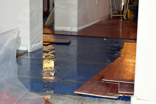 Professional Basement Flood Cleanup technician working in Harper, KS